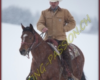 SEMSALES - 0349